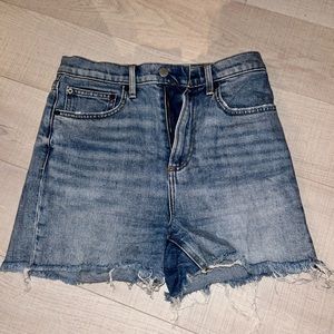 Denim Forum Arlo Shorts